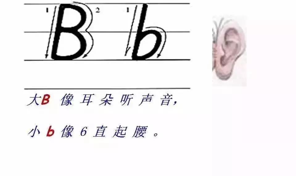 语文字母表大小写的正确书写格式，26个字母书写顺序笔画