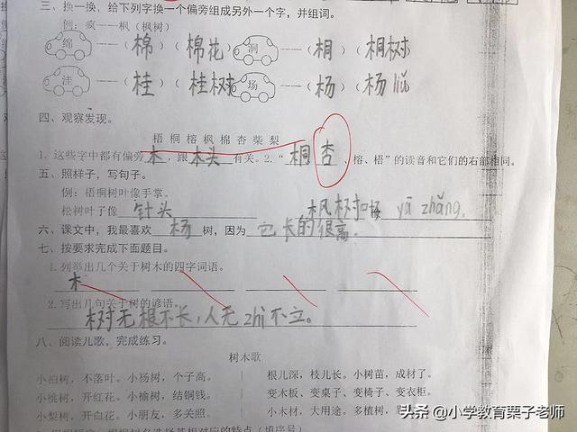 描写树木的四字词语，二年级语文识字二《树之歌》