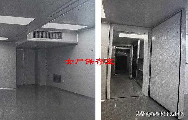 马王堆汉墓古尸，马王堆汉墓女尸刚出土（长沙马王堆女尸“全面体检”）