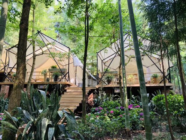 蝴蝶谷在哪,广州蝴蝶谷在哪(打卡安州蝴蝶谷小众秘境) 蝴蝶谷在哪,广州蝴蝶谷在哪(打卡安州蝴蝶谷小众秘境)