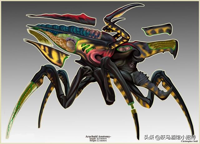 盘点经典科幻片《星河战队》中的阿拉奇尼斯虫族种类