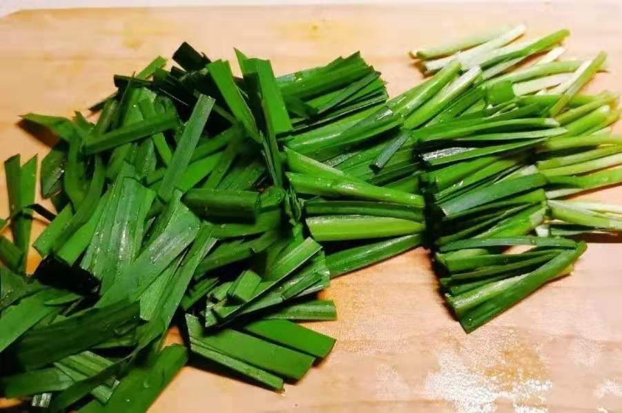 新手也能轻松上手！简单实用的草鱼垂钓技巧分享