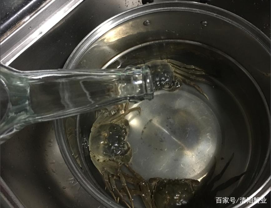 大闸蟹要怎么洗才干净，大闸蟹清洗的更佳方法