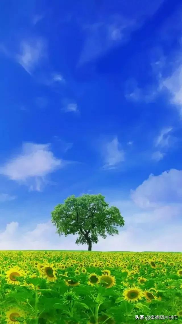 清新图片背景(背景图片简约清新可爱)