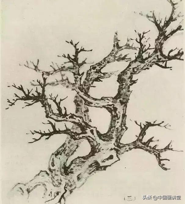 大树怎么画，大树怎么画的特别好看（缠枝、挺杆、屈节、钮裂、一棵树如何画）