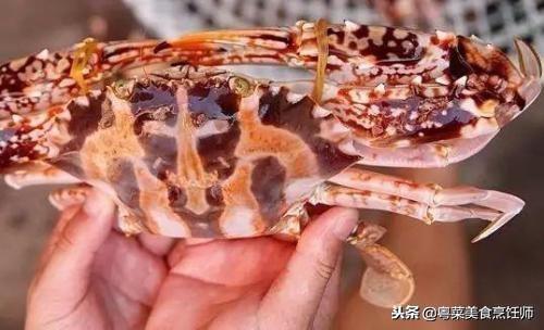 世界上最稀有的螃蟹排行榜，聚集十几种比较有名的螃蟹