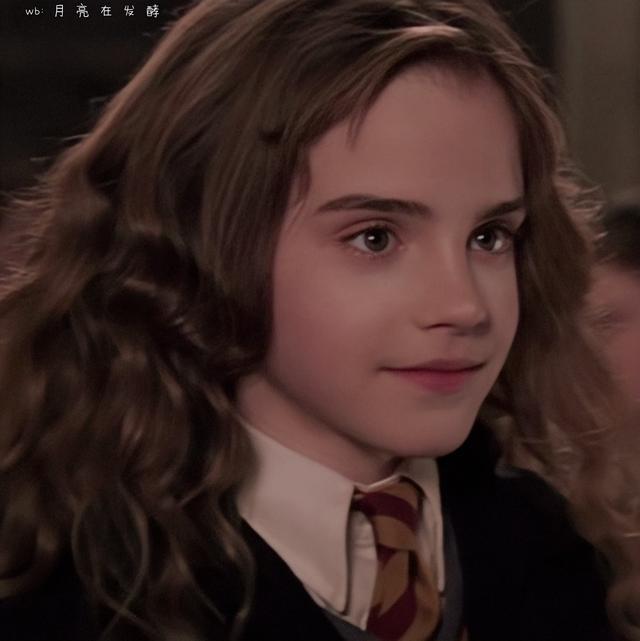 赫敏·格兰杰小天使［哈利.波特］，哈利波特女主角赫敏格兰杰（小赫敏感觉毛茸茸的图片）