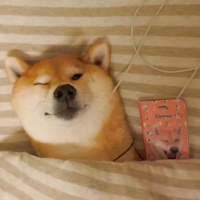 小可爱的糖糖糖糖的小可爱网名，小可爱的糖糖糖糖的小可爱（中二搞怪的可爱宠物狗的名字反差萌-可爱点）