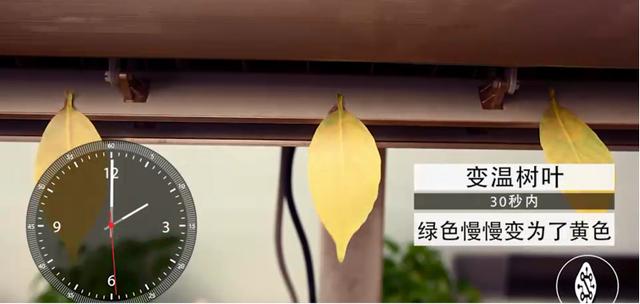 空调pmv模式是什么意思，海尔空调哪个模式最省电（为什么这款空调敢说速冷、节能）