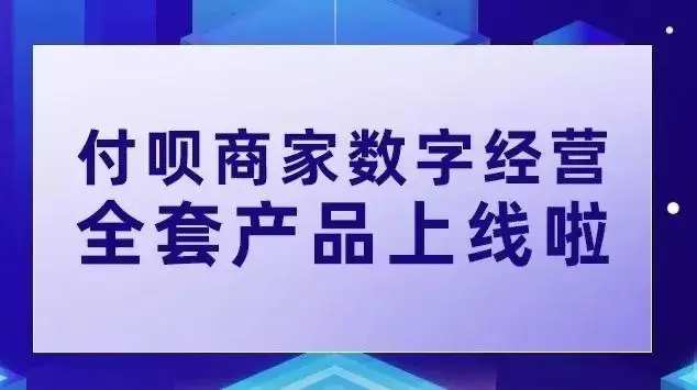 付呗生活圈登录(手机支付app下载)