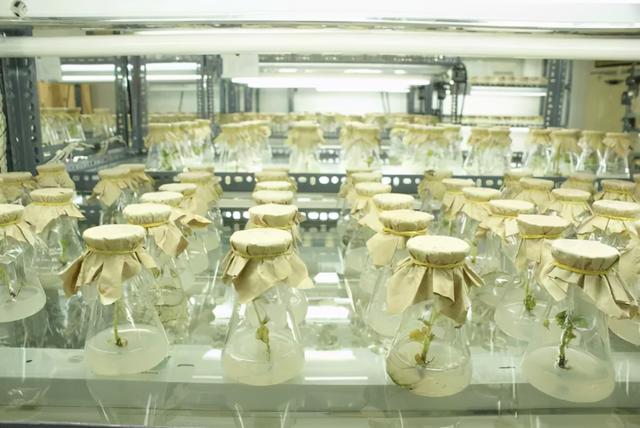 拾柒印制一本书多少钱，拾柒印制一本书多少钱一页（中国百年老厂九年磨一剑）