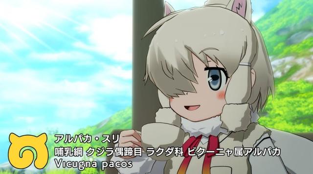 草泥马之歌歌词，谁有世界三大禁曲跪求（动漫界的动物明星）