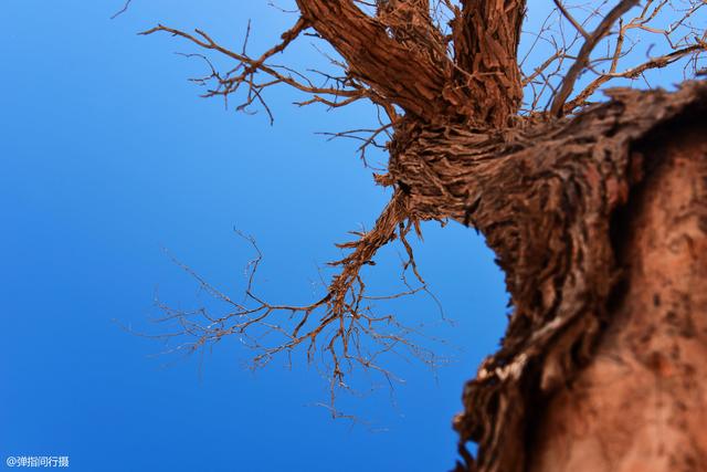 阿拉善属于哪个市，阿拉善在哪个省份哪个市（是自驾越野的荒凉秘境）