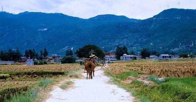 1981年属鸡人永远最旺的数字，1981年属鸡的幸运数字和颜色（时光记忆：1981年的中国）