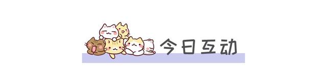 猫吃什么食物除了猫粮，小土猫吃什么食物除了猫粮（这4类食物不仅美味猫咪还能越吃越健康）