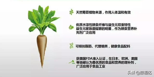 什么是菊粉，康福亿健康小知识：菊粉是什么