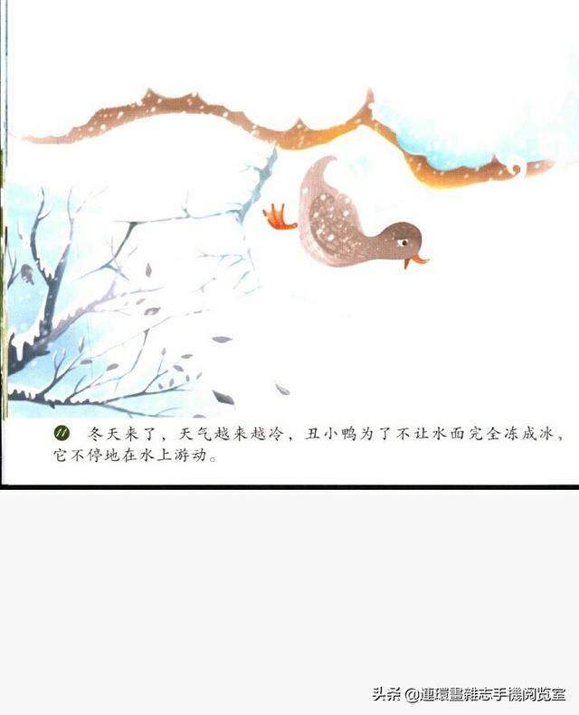 《丑小鸭》的故事，丑小鸭的故事简短版（童话故事《丑小鸭》）