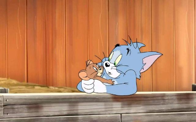 汤姆猫的各种问号，微信头像，汤姆猫的各种问号（动漫界最著名的十只猫）