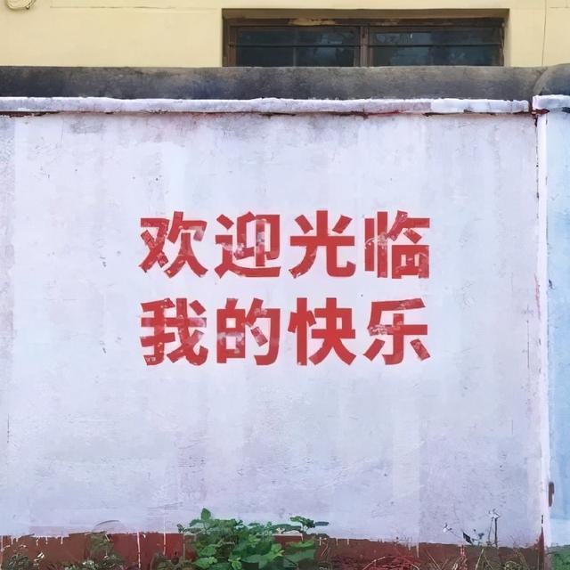 微信好看的背景图，微信朋友圈最好看背景图（个性、沙雕、励志文字控）