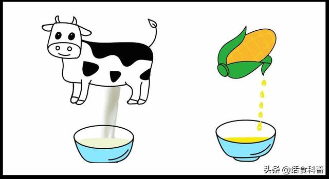 天然奶油就是动物奶油吗，纯天然奶油是动物奶油吗（植物奶油是不是更健康）