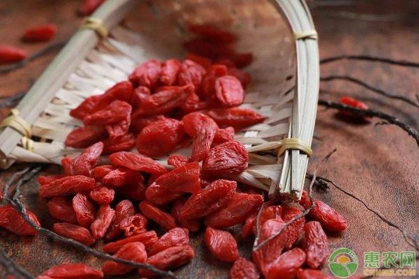 正宗宁夏枸杞子价格，枸杞子价格（今日枸杞价格多少钱一斤）