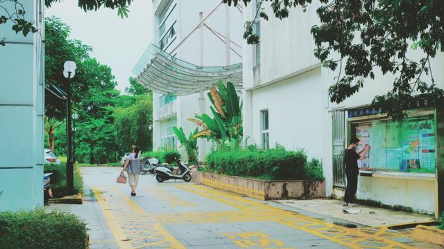 云浮有什么著名的土特产，云浮有什么著名的土特产美食（广东游记：我的云浮旅游攻略）