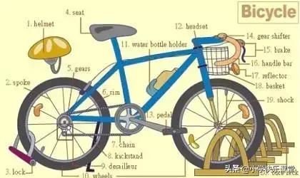 英语学习方法总结，怎么学好英语方法技巧（超级全面的小学英语学习方法总结）