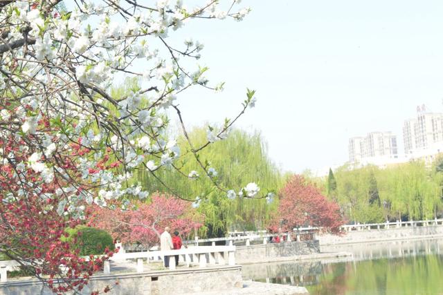 适合低分录取的二本大学公办，全国分数低的公办二本大学有哪些（两所公办二本院校）