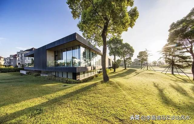 鸿运当头花五行属什么，什么花代表鸿运当头（白虎见水财源来；紫气东来有靠山）