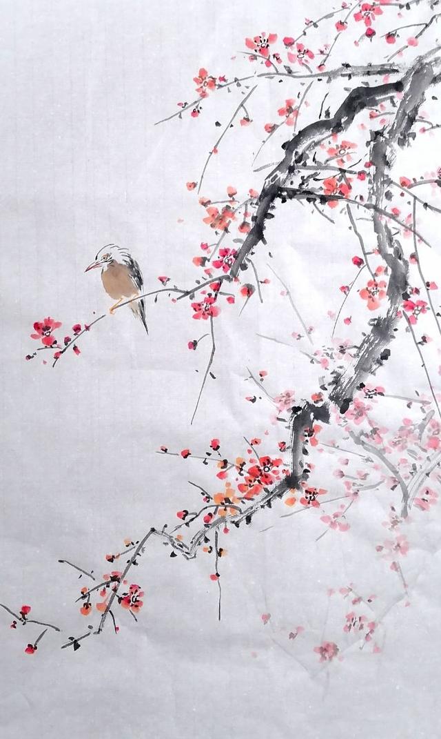 如何画梅花和梅花树干,如何画梅花和梅花树干的图片(怎样画梅花枝干)