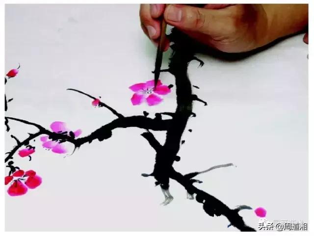 梅花13怎么手绘画，教梅花13怎么画（国画入门教程——梅花的画法）
