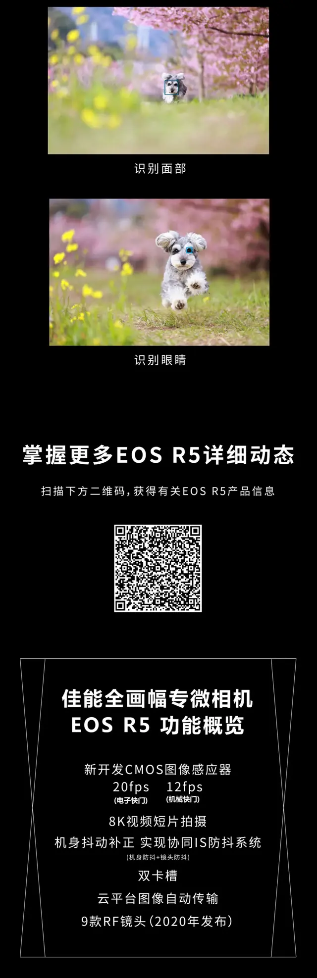 佳能c300，佳能C100和C300有什么区别?（R5和C300）