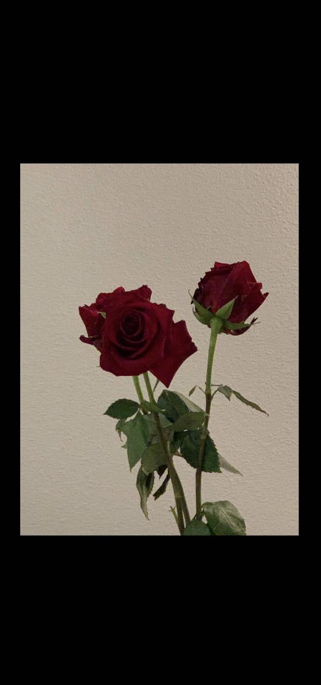 黑色系壁纸.，黑色系壁纸女生（愿你常开心常欣喜图片）