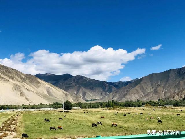 美育教育的意义，美育教育的意义600字论文（美育教育能有多重要）