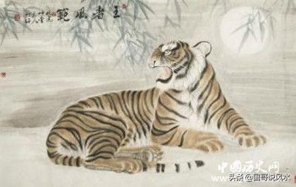 属虎的人都有哪些性格特点，属虎的人都有哪些性格特点男（生肖虎简介：生肖虎是怎么来的）