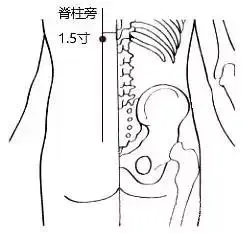 指压按摩是什么方法，睾丸的专业按摩方法（头痛、牙痛、落枕、腰痛……“指压”立竿见影）