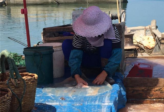 水母和海蜇头是什么关系，水母和海蜇头是什么关系图片（我们平时吃的都是海蜇皮和海蜇头）