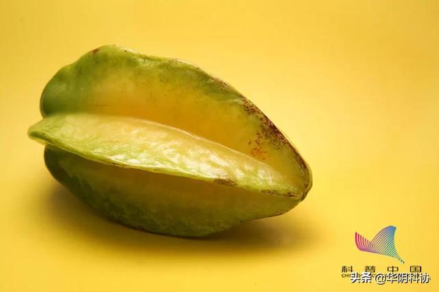杨桃怎么算熟了，杨桃怎样才算熟了（这种常见的水果\