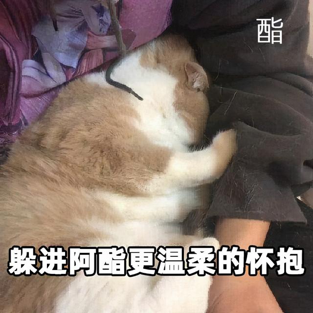 乐敦cc保质期，乐敦cc保质期怎么看（款性价比超高，不比医美差）