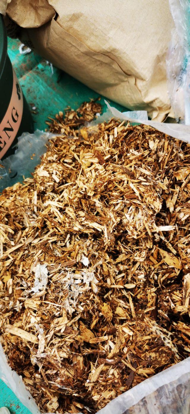 石斛兰怎么养，阳台养花记录-石斛兰花篇（石斛兰好养吗 新手能养吗）