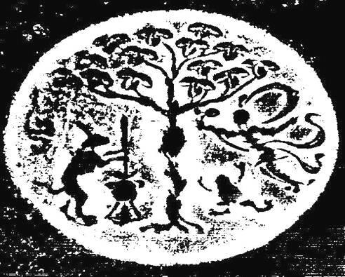 白兔和月亮的寓意，白兔和月亮的寓意是什么（月亮和兔子的神秘联系）