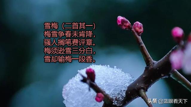 咏雪的诗句 关于咏雪的古诗名句，咏雪的诗句（毛主席的《沁园春.雪》霸气压轴）