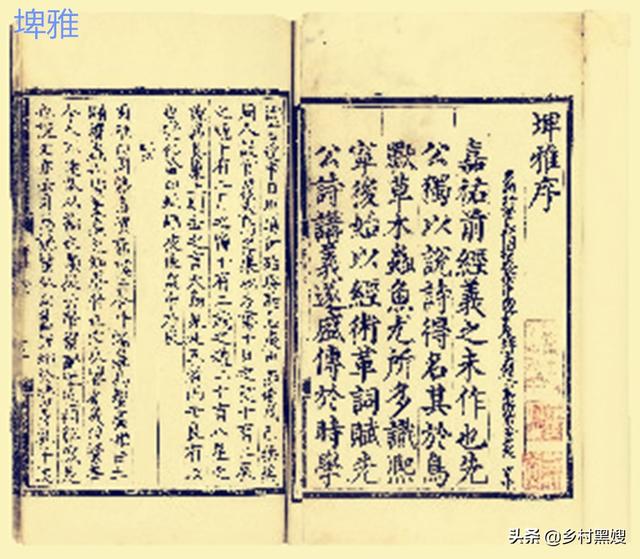 关于白菜介绍，关于白菜的介绍（一口气搞懂白菜的前世今生）