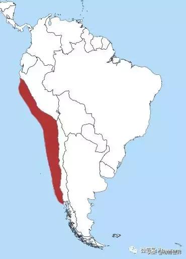 企鹅都有哪几种分别生活在哪里呢，企鹅都有哪些（详解世界上的18种企鹅<一>）