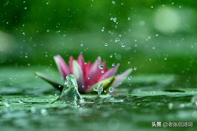 古人感谢师恩名句，古人感谢师恩的唯美句子（16岁李商隐写下最感激的诗篇）