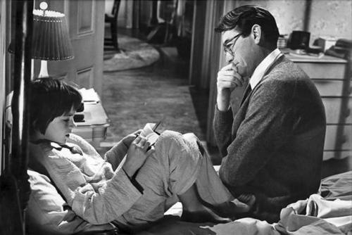 知更鸟象征什么，知更鸟的寓意及象征（《杀死一只知更鸟》）