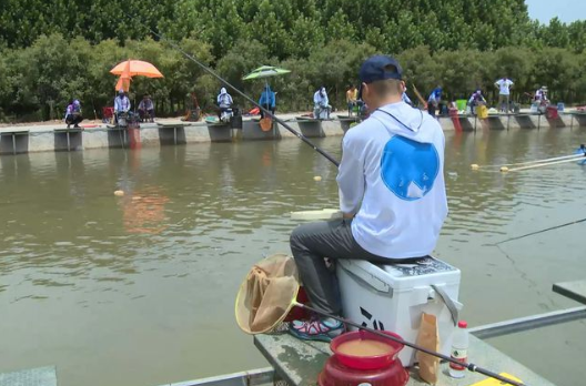 鳡鱼市场价曝光！钓鱼人争相追捧的“水中猛虎”一斤多少钱？揭秘其高价背后的原因