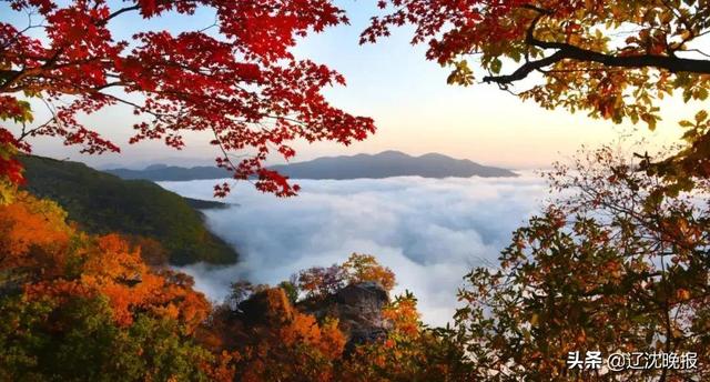 今秋本溪最佳赏枫地点大汇总，枫叶的特点