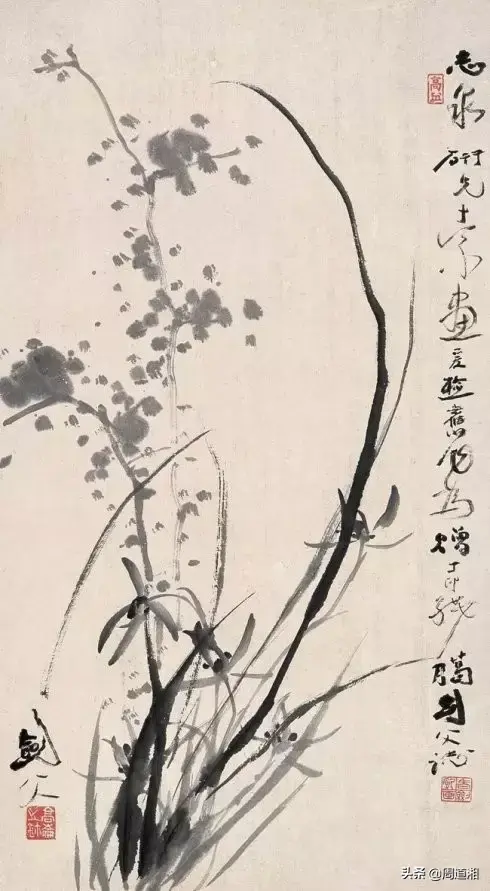 草的简笔画怎么画，猪笼草的简笔画怎么画（兰草的画法）