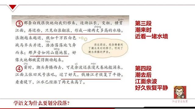 段落在文章中的作用有哪几种，文章中某一段的作用（学语文为什么要划分段落）
